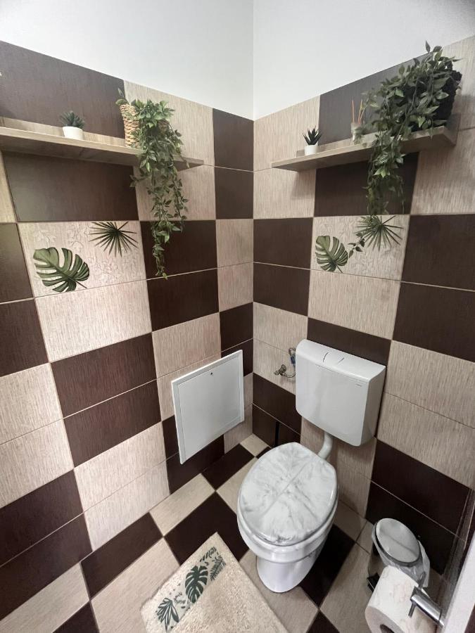 Natura City Center Studio Brasov Exterior photo